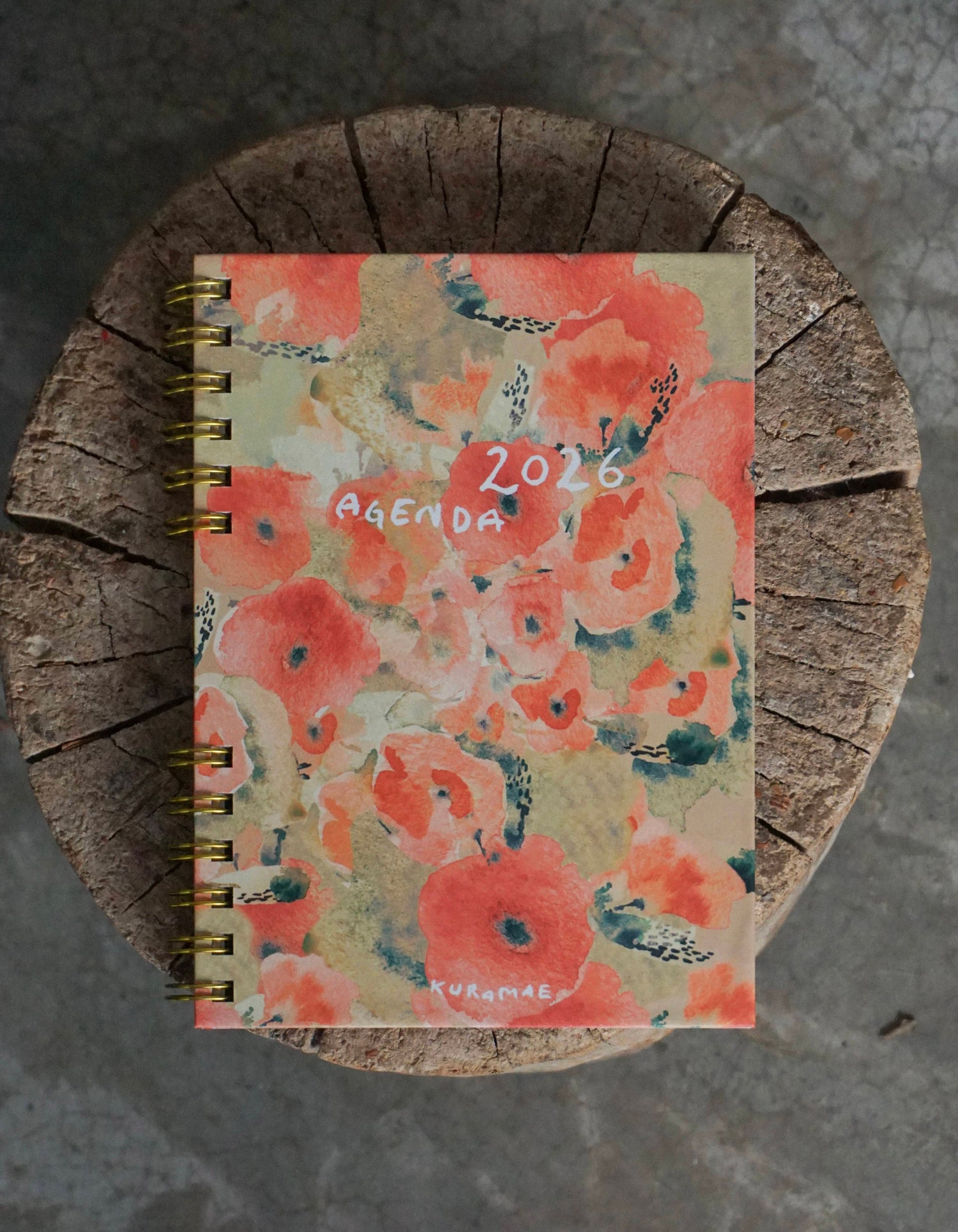 PREVENTA Agenda 2026