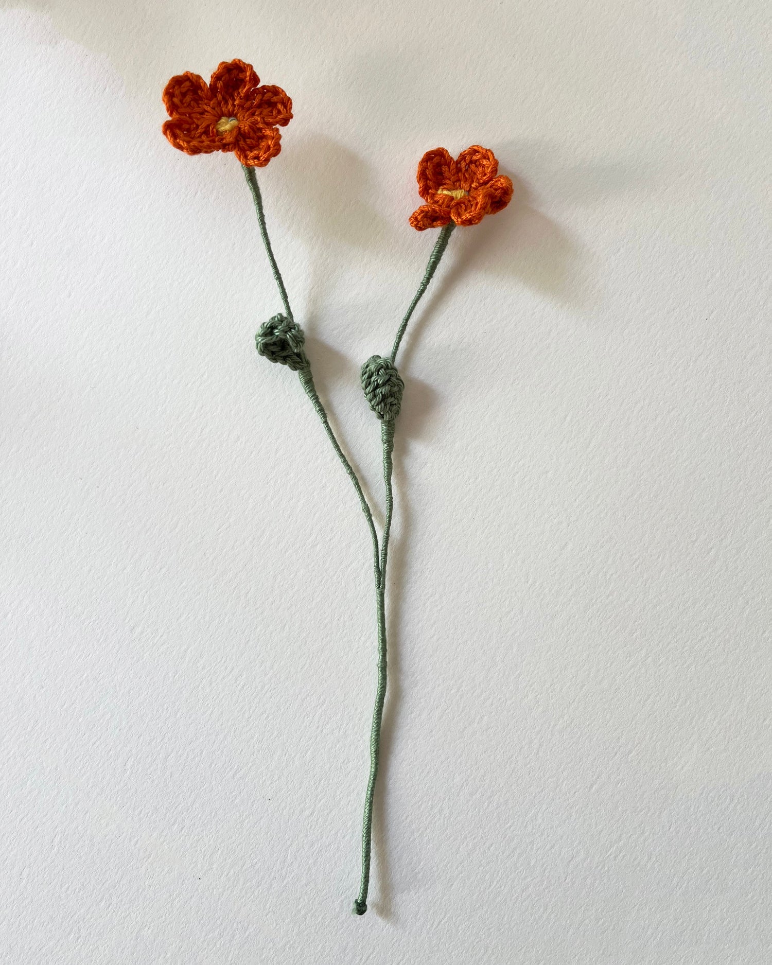 Pack Margaritas de Crochet