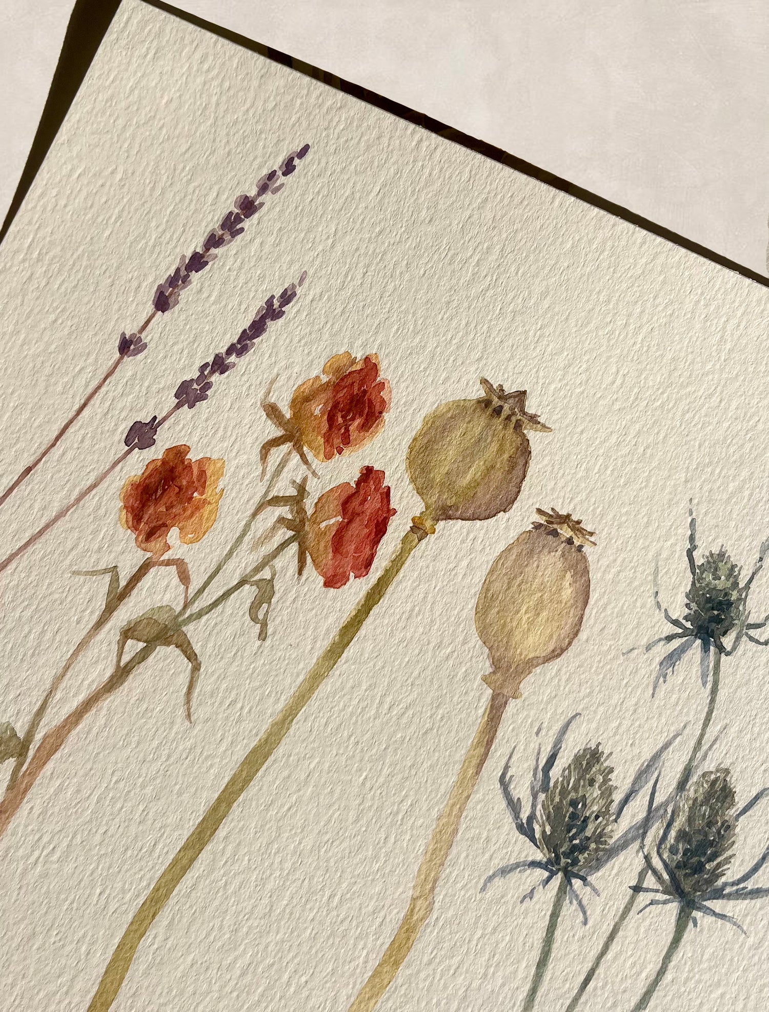 TALLER DE FLORES Y FRUTAS - 8 de MARZO