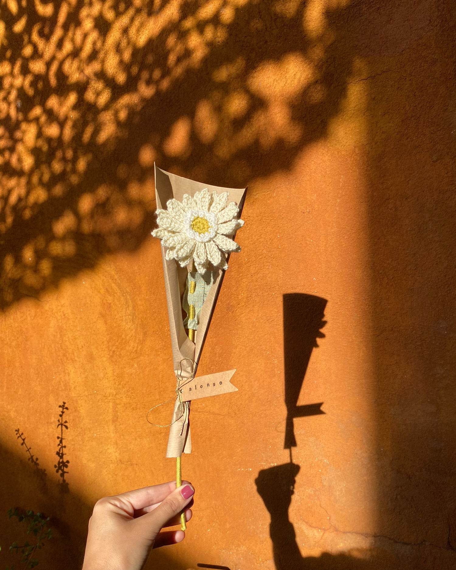 Pack Gerberas de Crochet