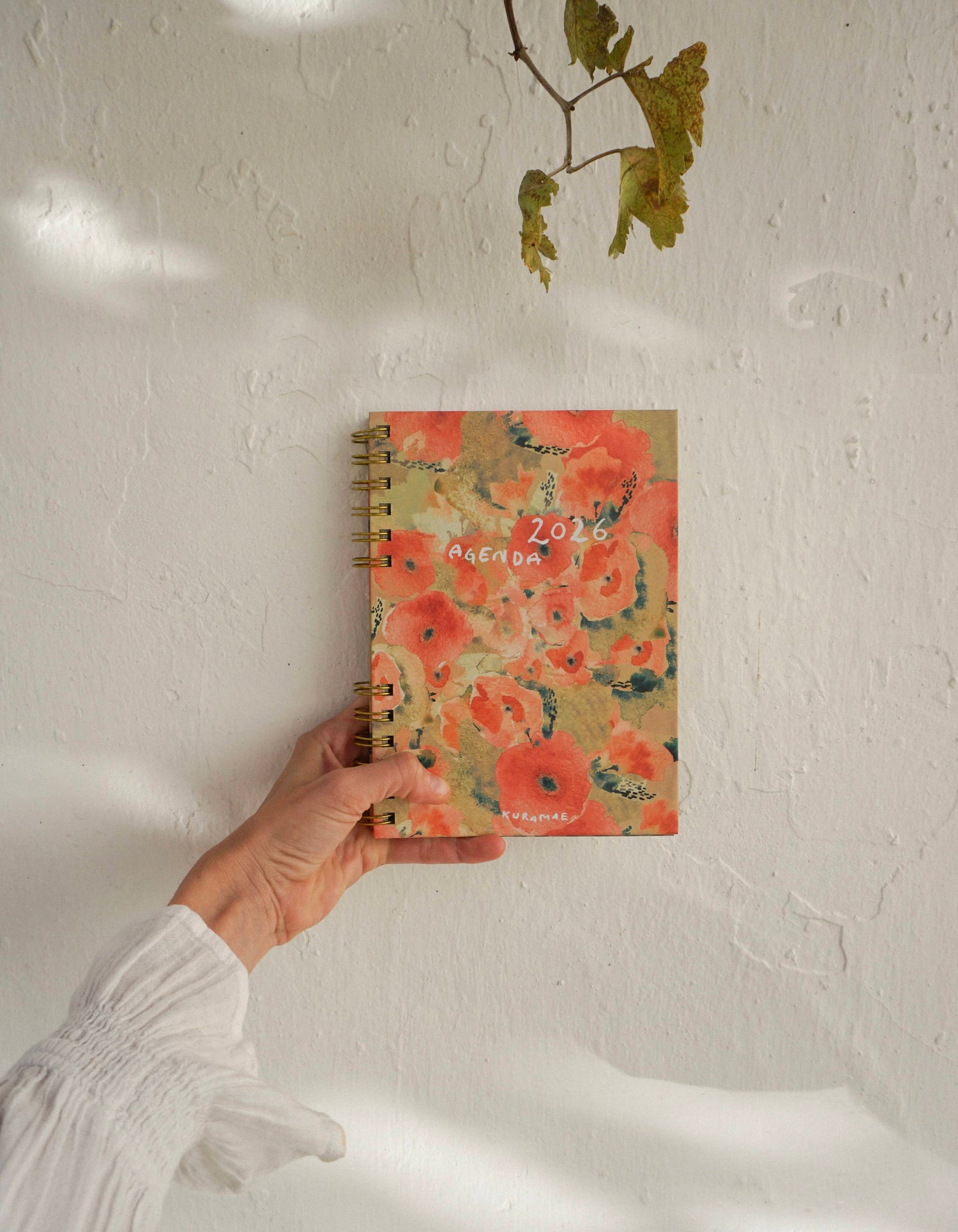 PREVENTA Agenda 2026