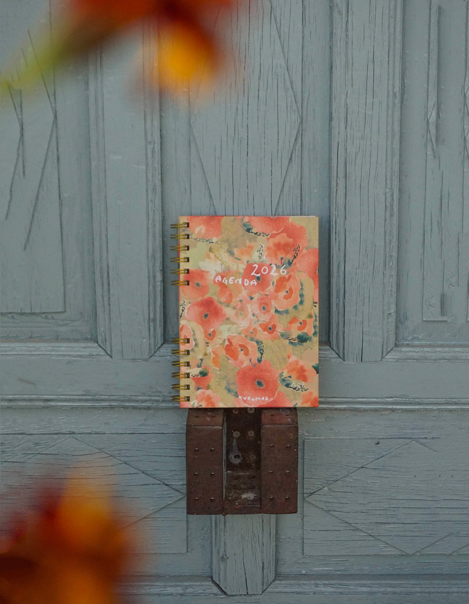 PREVENTA Agenda 2026