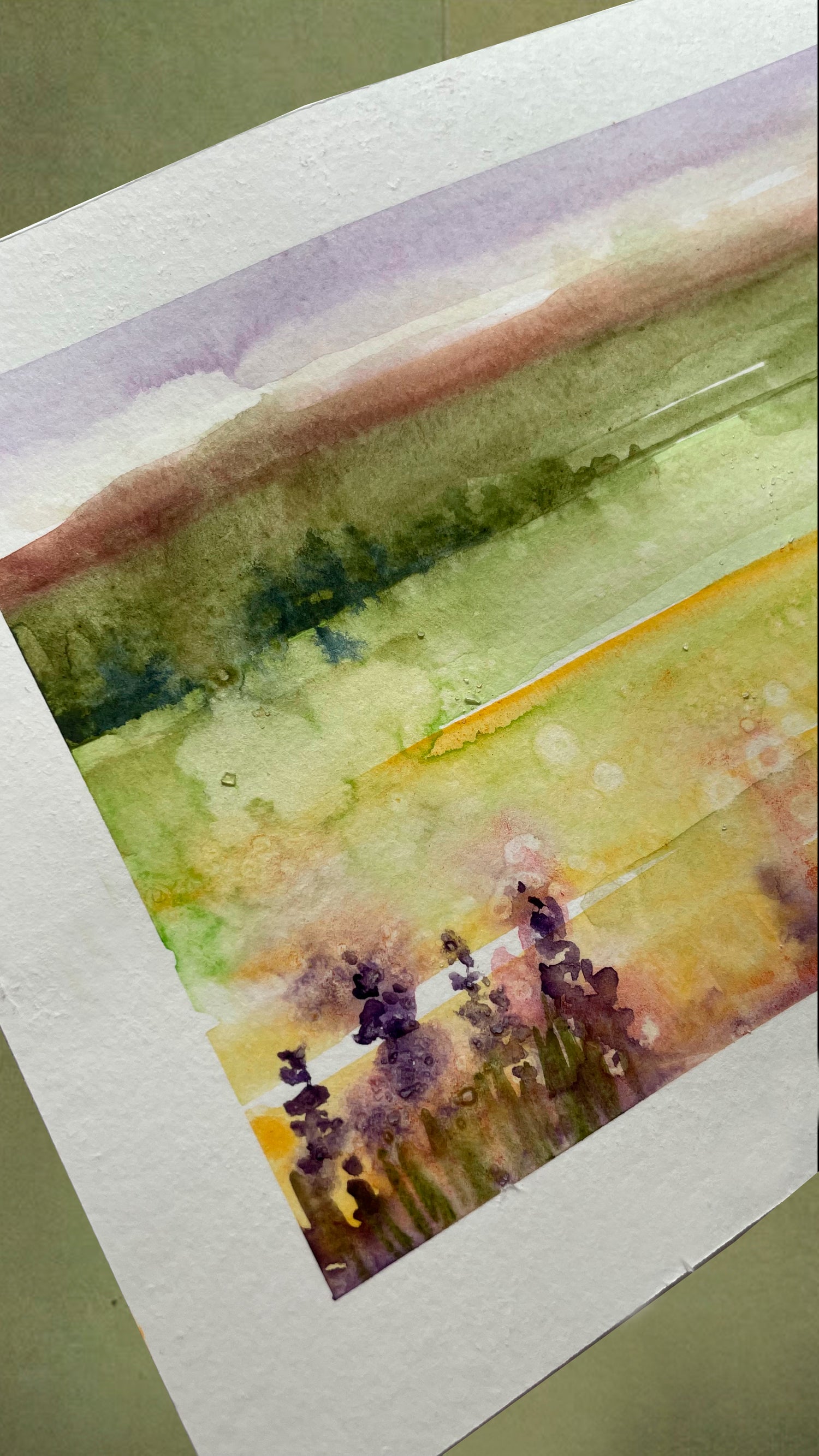 TALLER PAISAJE 21 de junio