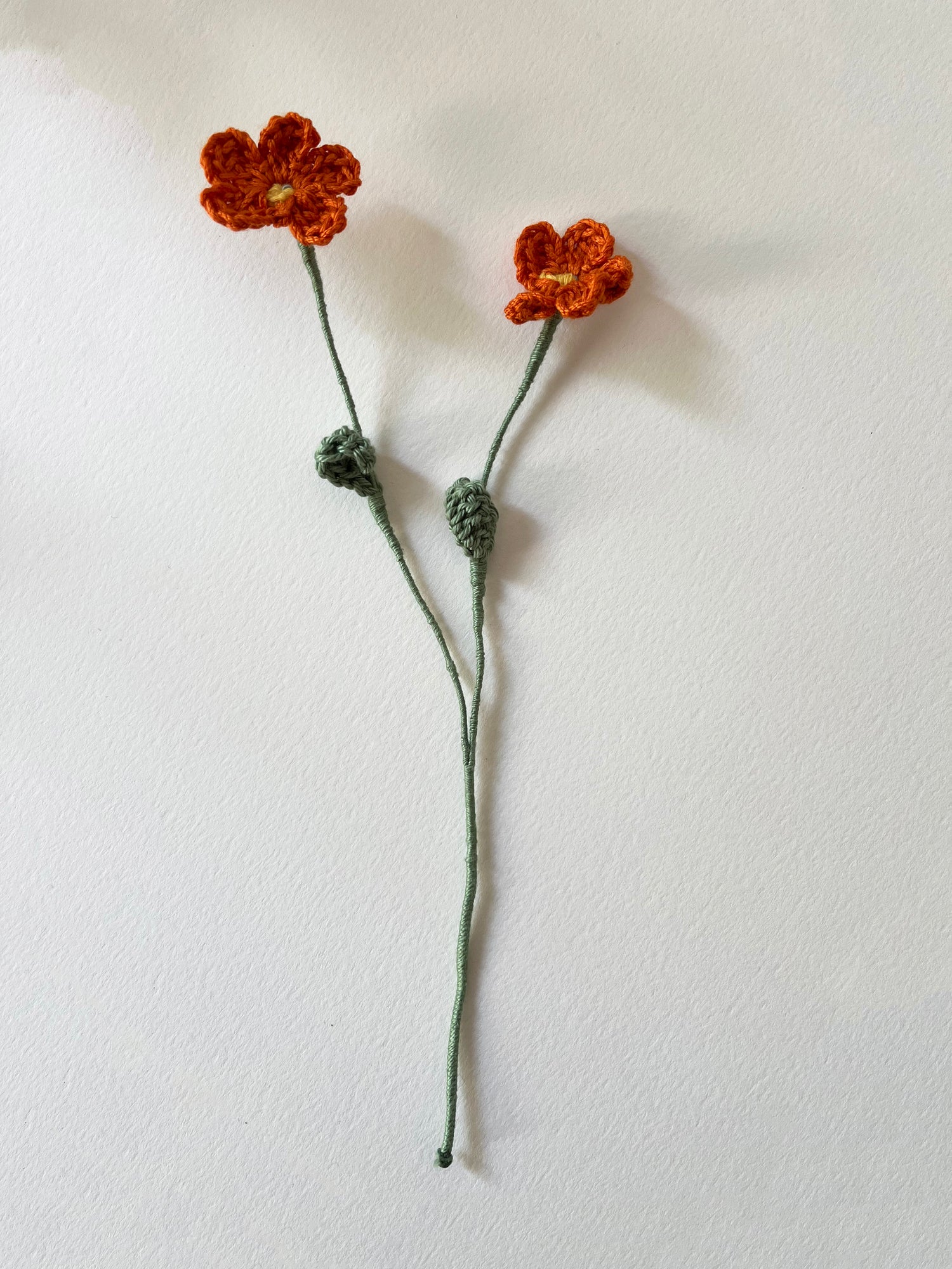 Margarita de Crochet